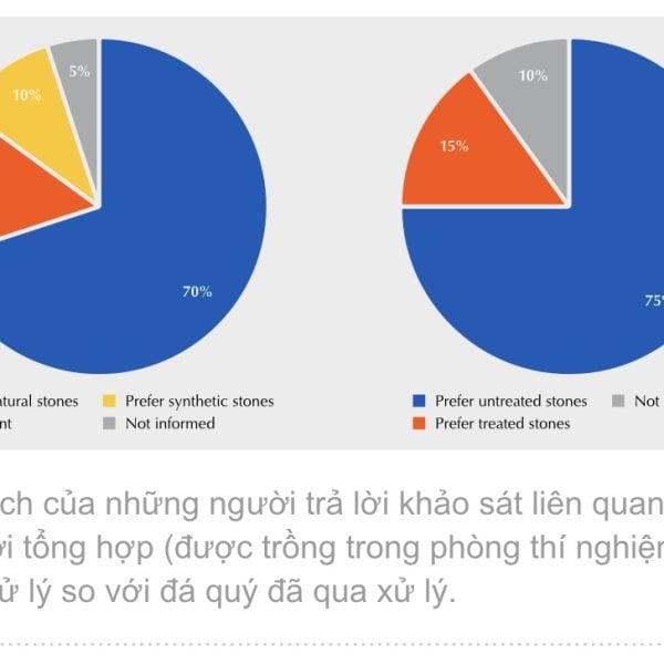 Hình 2 : Sở Thích Của Những Người Trả Lời Khảo Sát