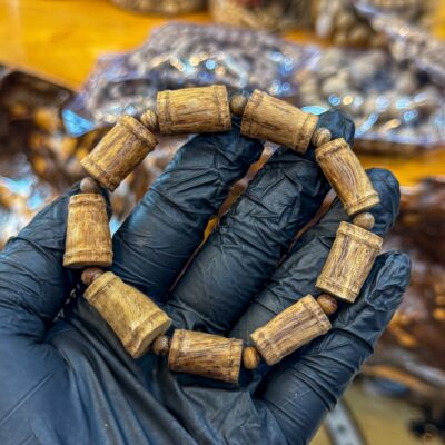 TRÚC TRE NU RỤC AGUSSA PHILIPPIN 12LI