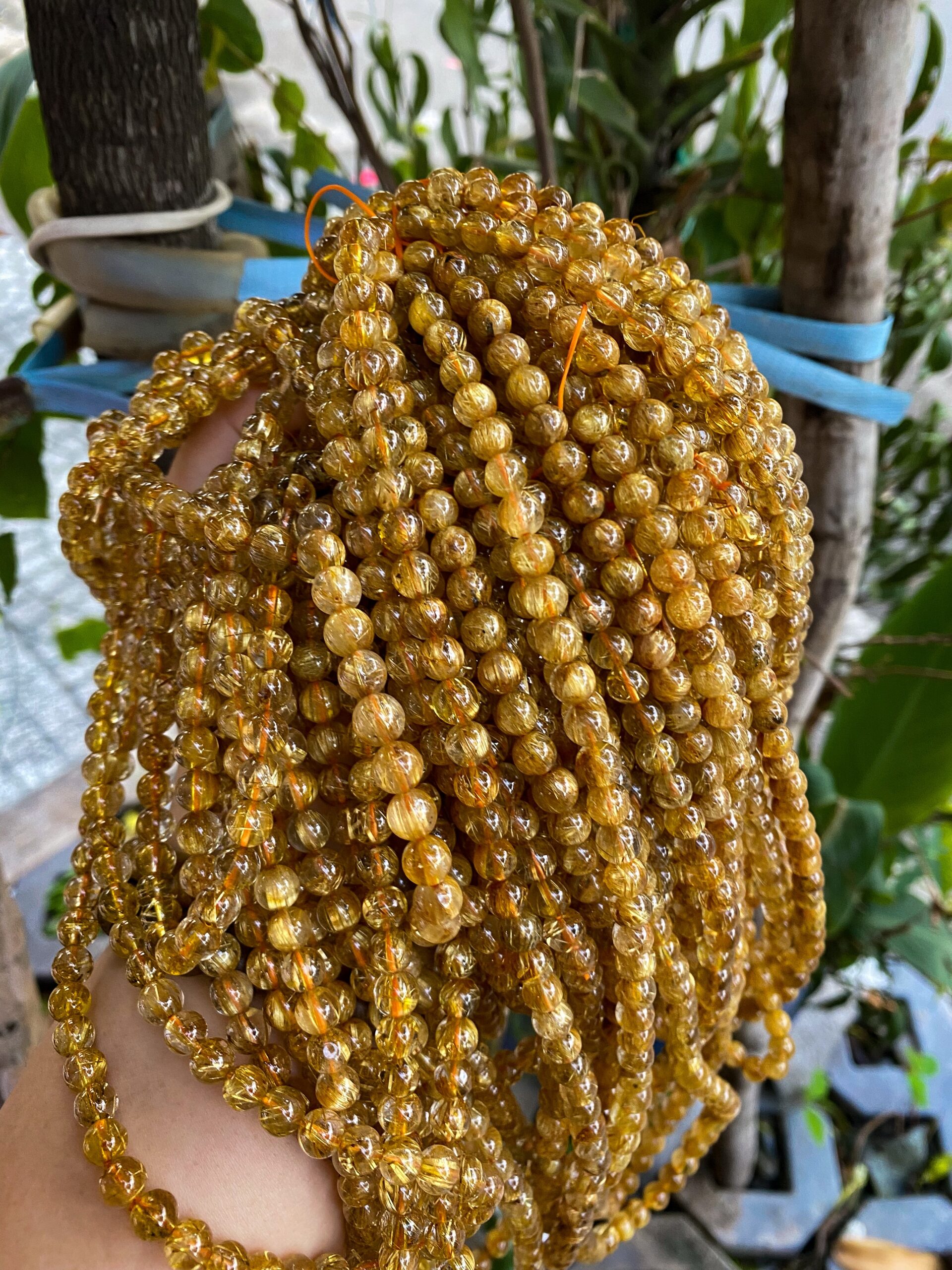 Tóc vàng Svip quấn 3 vòng Tóc vàng Svip quấn 3 vòng