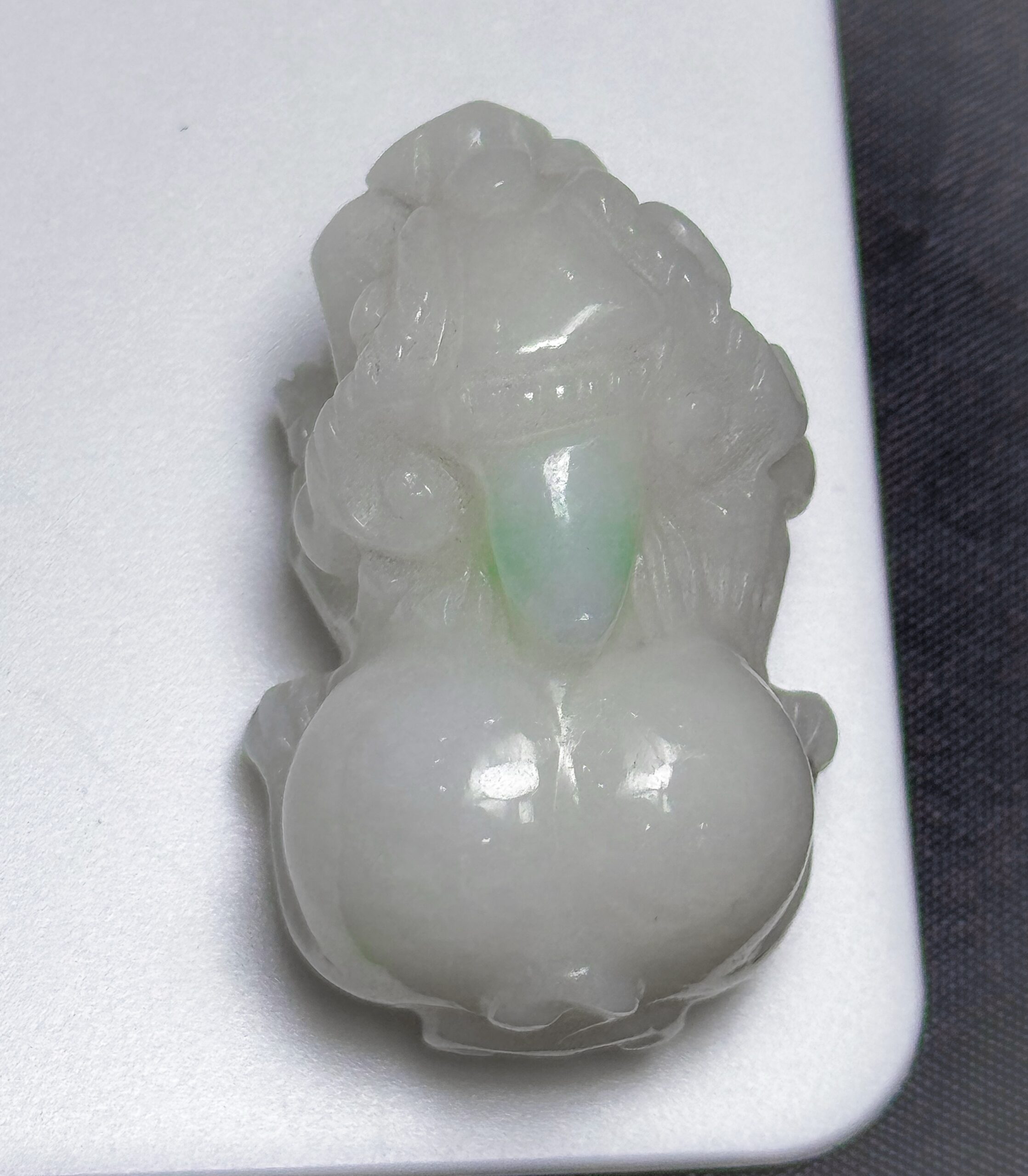 Tỳ Hươu Tỳ Hươu