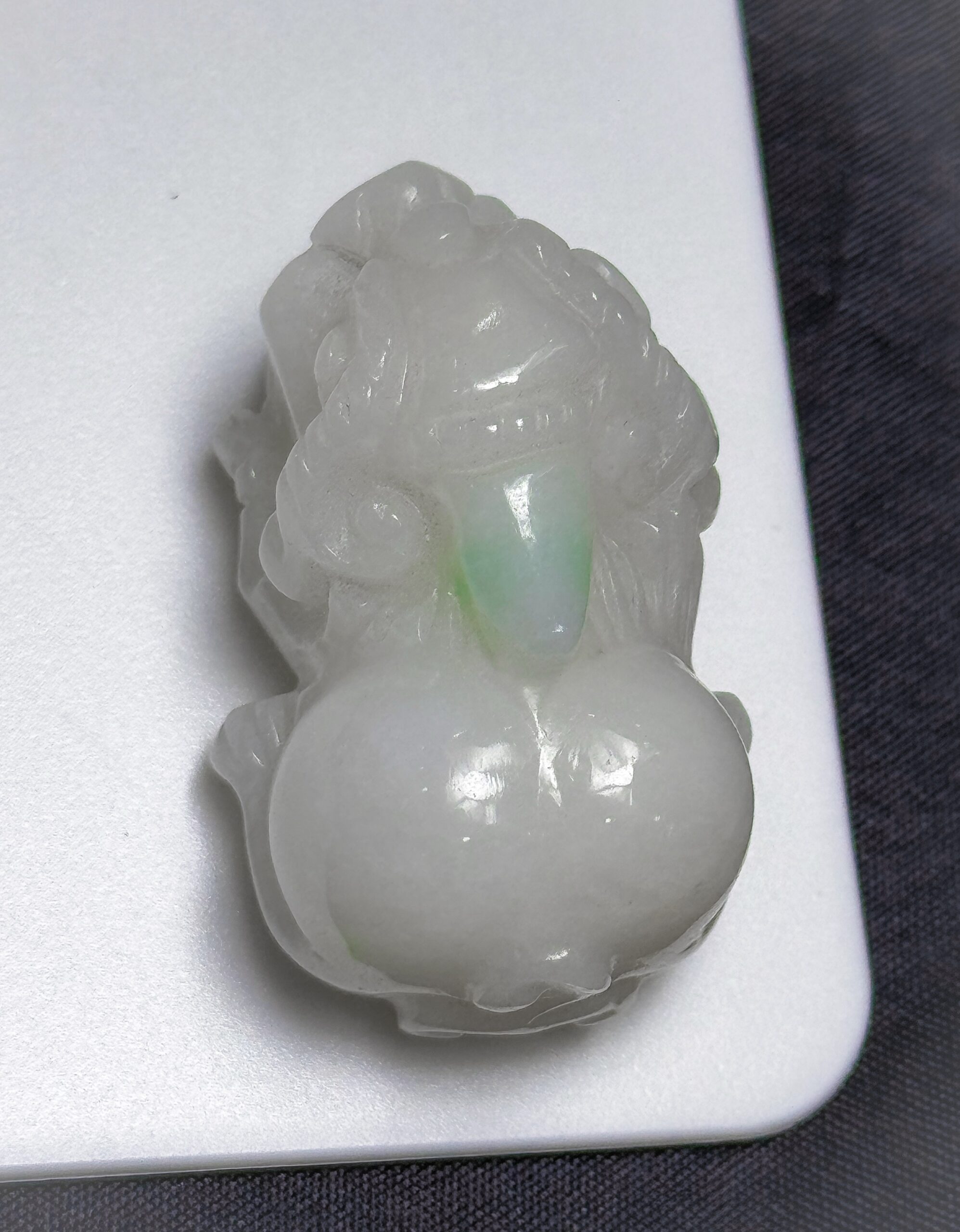 Tỳ Hươu Tỳ Hươu