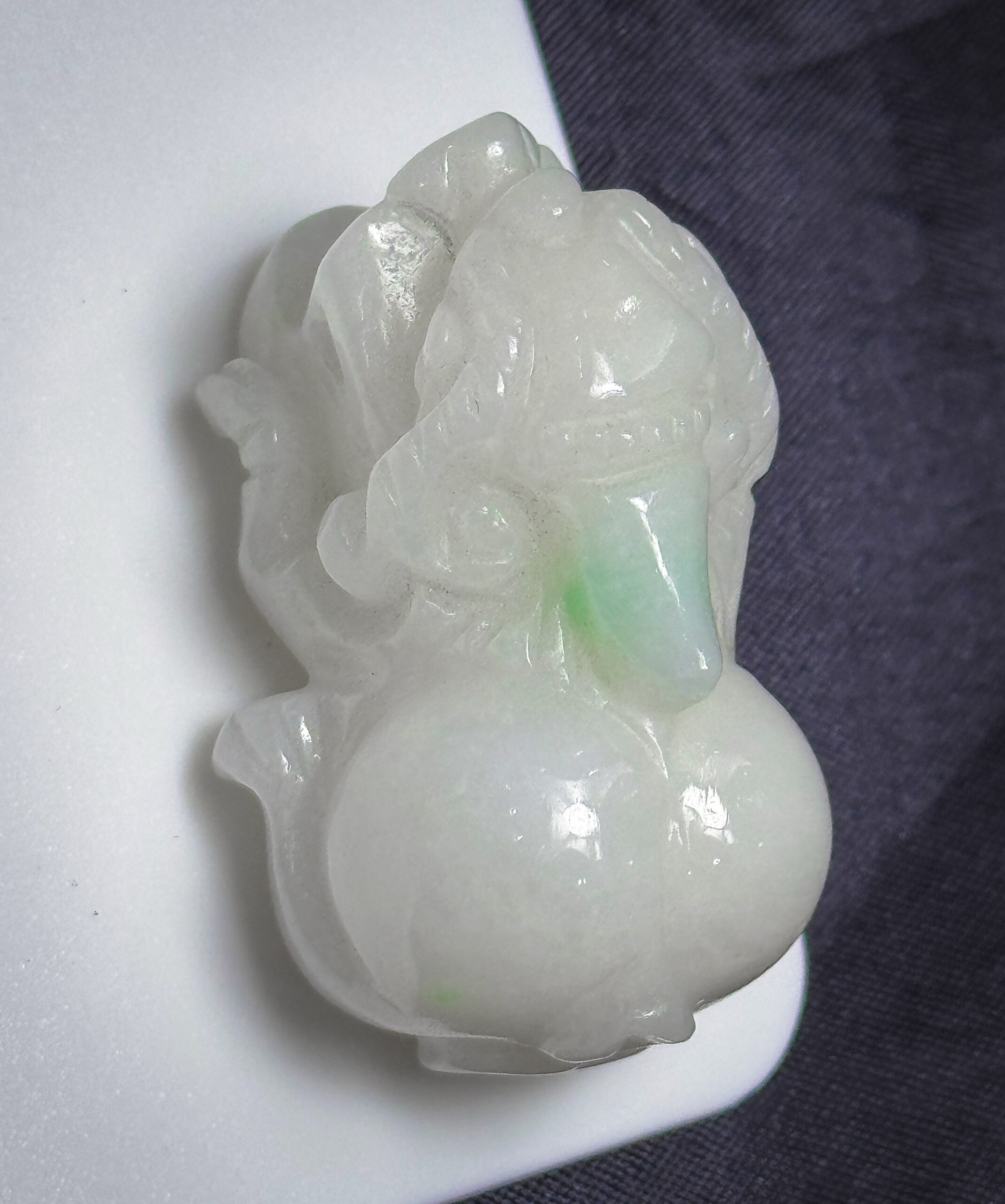 Tỳ Hươu Tỳ Hươu