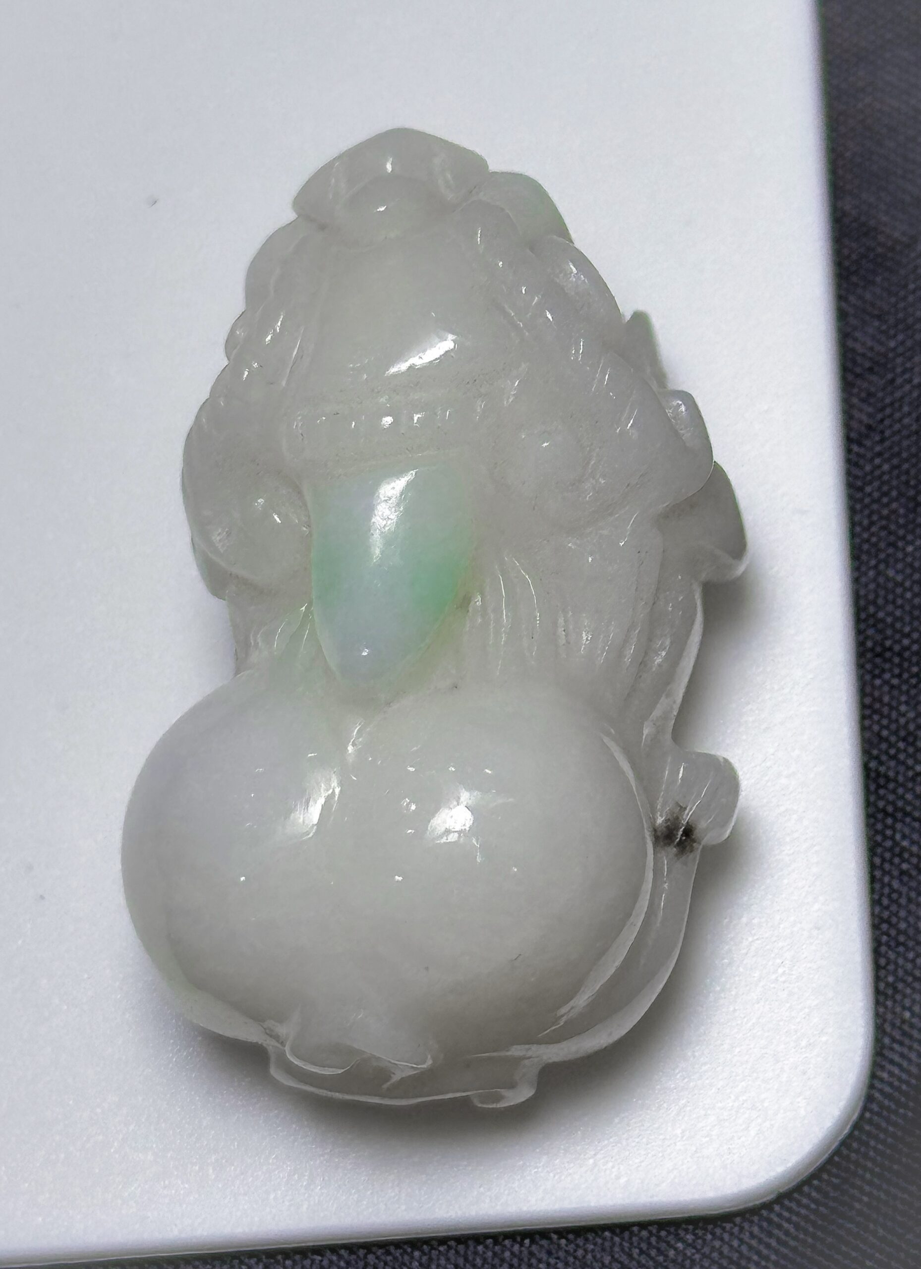 Tỳ Hươu Tỳ Hươu