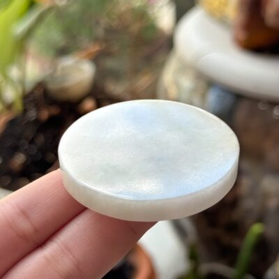 Minh Nguyệt Vô Sự Bài Type A